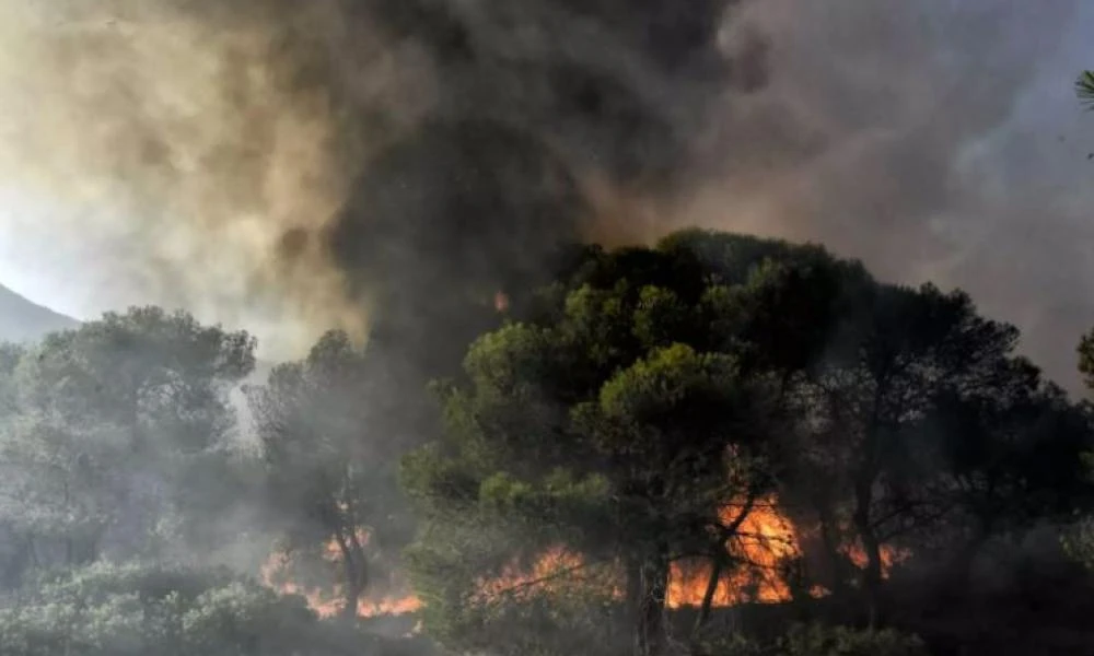 Φωτιά σε δασική έκταση στο Αμάρι Ρεθύμνου